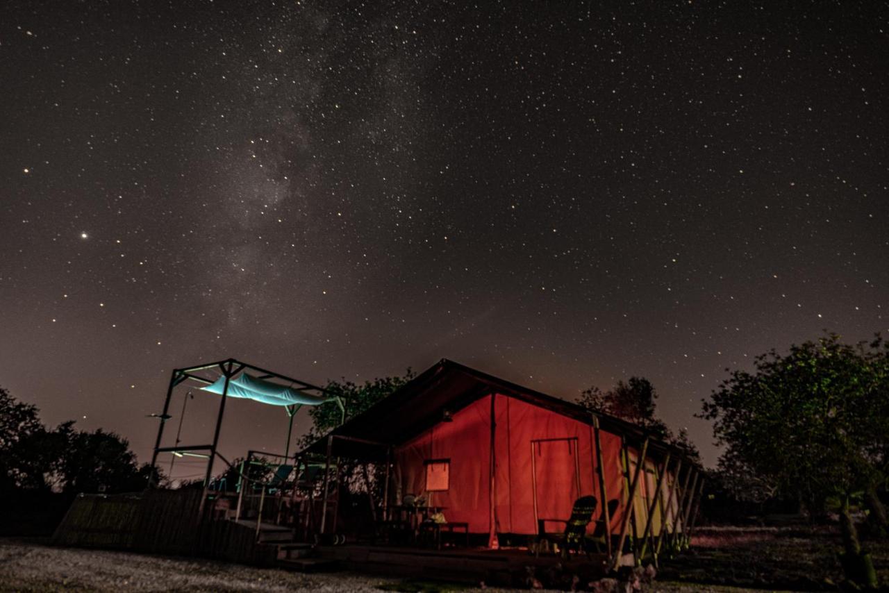Ses Quinta Luxury Safari Tents Paderne Eksteriør bilde