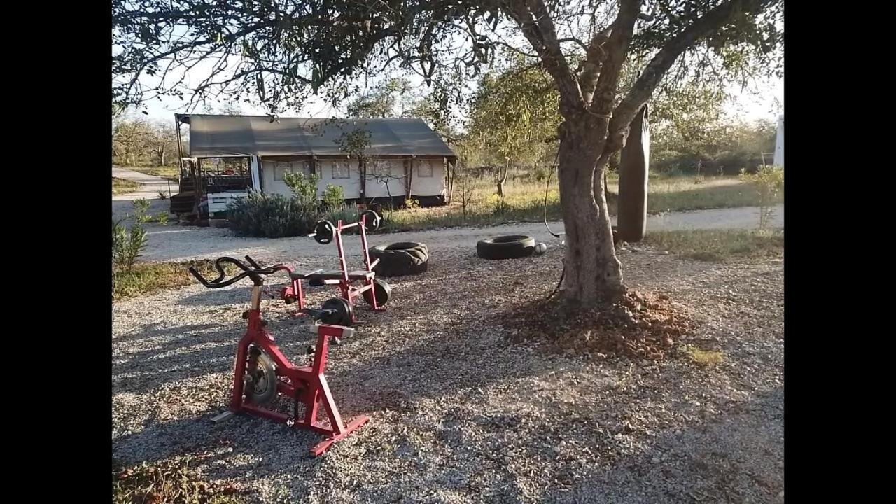 Ses Quinta Luxury Safari Tents Paderne Eksteriør bilde